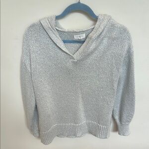Lou & Grey Silver Sparkle V-Neck Hooded Sweater